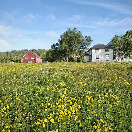 2 Houses And A Barn Leknes Exterior photo